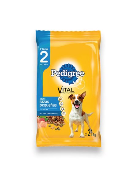 pedigree-adulto-raza-pequeña