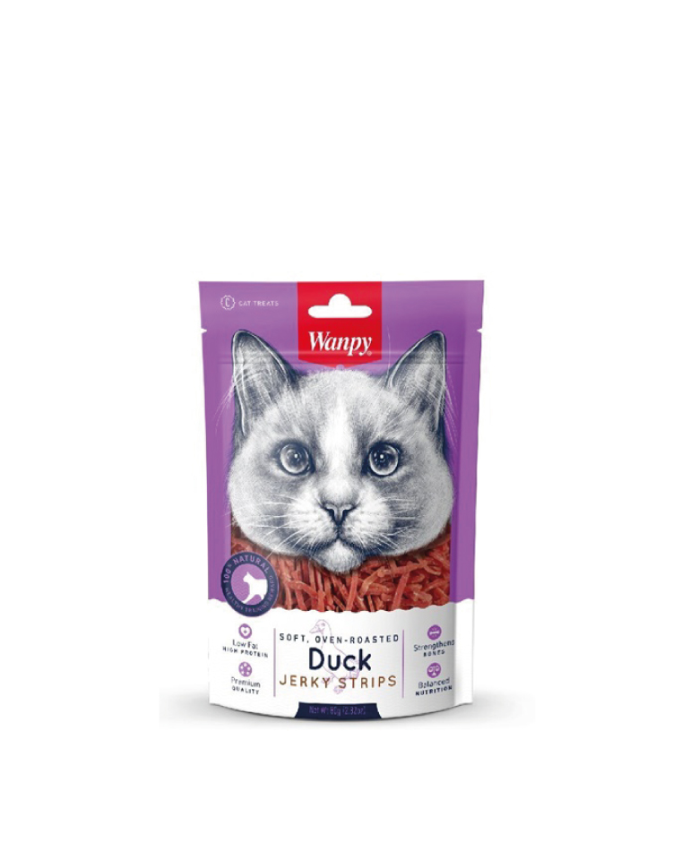 wanpy-gato-duck Wanpy gato Pato
