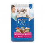 Cat Chow Gatitos 8kg
