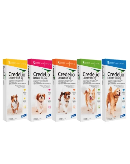 Credelio Antiparasitario Externo 1 Comprimido