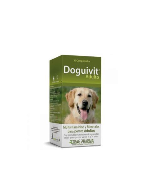 doguivit-adulto