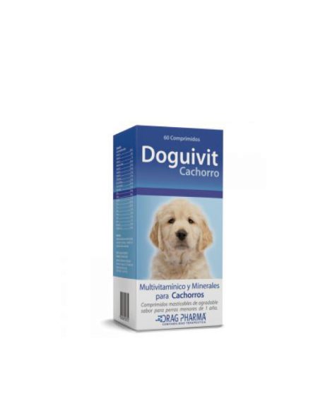 doguivit-cachorro