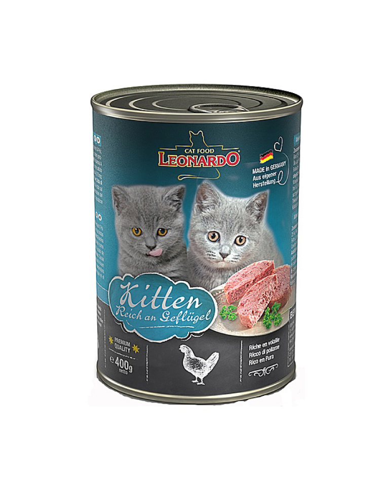 leonardo-kitten-gato Leonardo Lata Kitten - Imagen 1