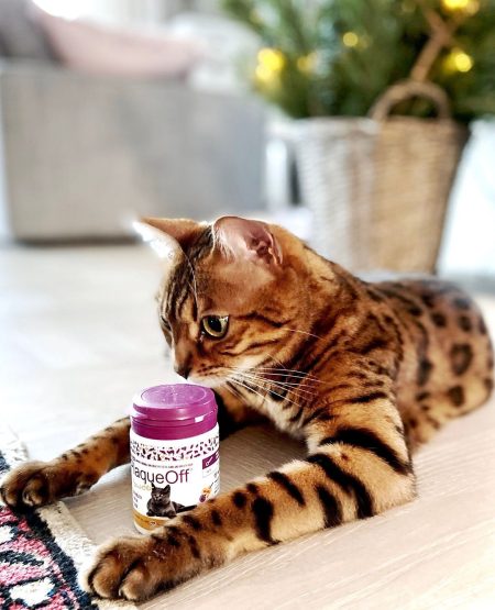 Plaqueoff Polvo Gato 40g