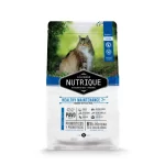Nutrique Adult 7+ Cat 2kg