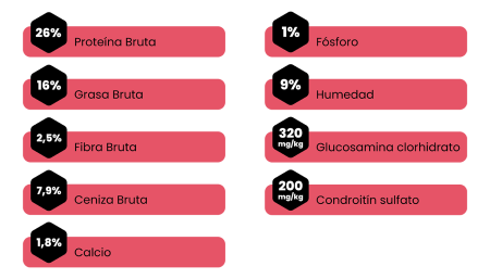 Amity Adult Iberian Pork