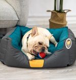 Gigwi Cama Dúo L Rosado/Celeste - Imagen 3