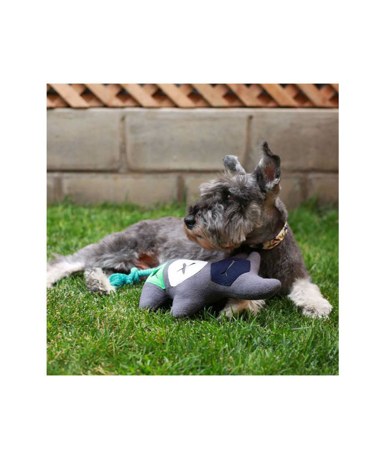 BRNX Plush IQ Rinoceronte Cognitivo