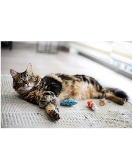 BRNX Juguete Gato Naranjo Boho