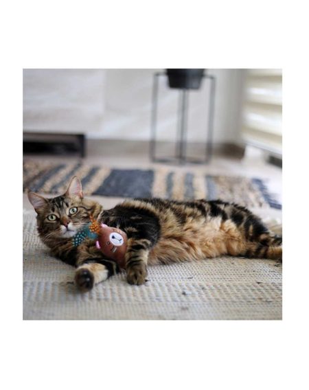 BRNX Juguete Gato Oso