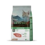 Bravery Kitten Pollo