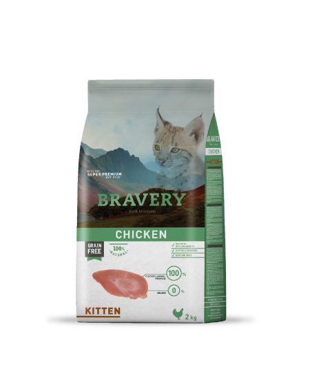 Bravery Kitten Pollo