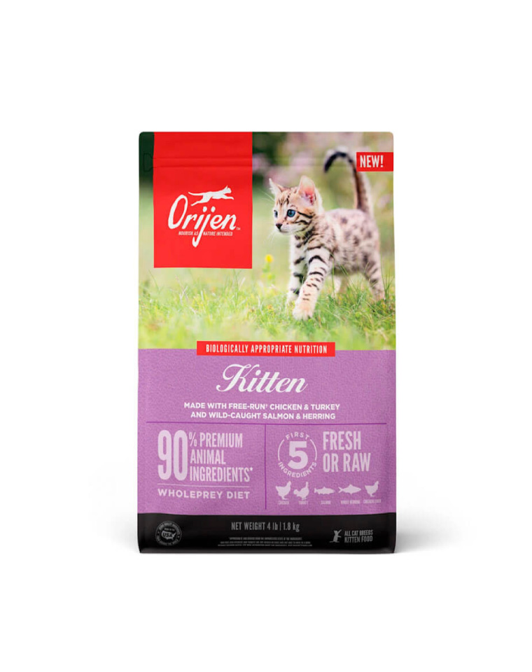 orijen-kitten