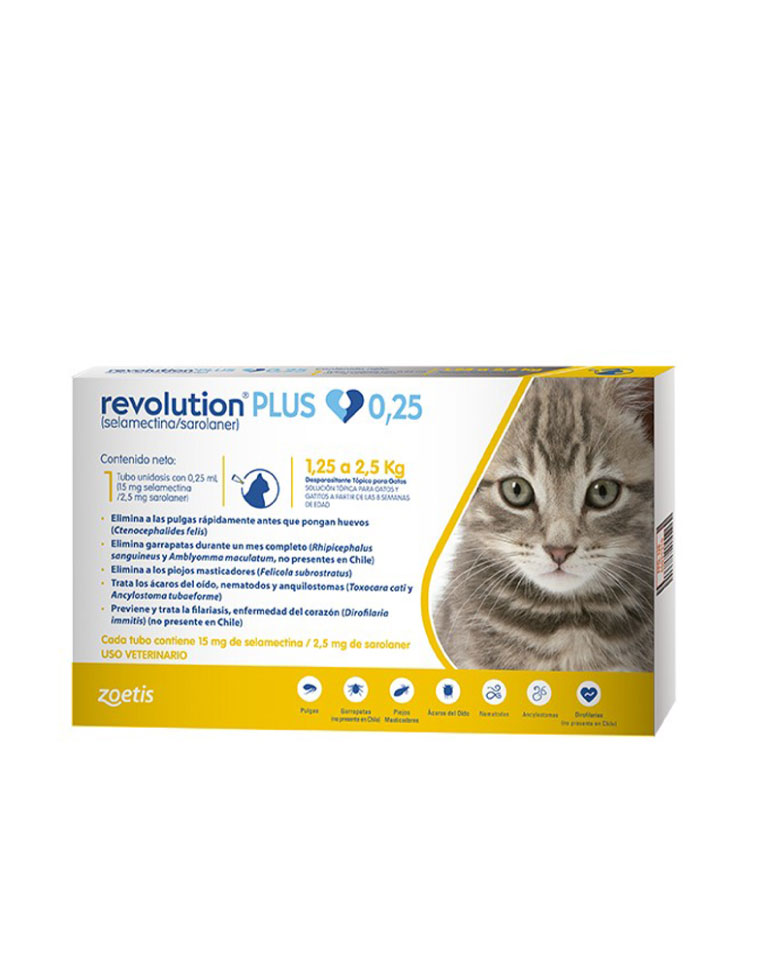 Revolution Plus Gato 1,25 a 2,5kg