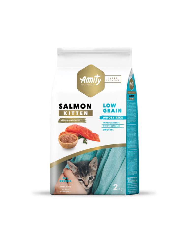 amity-gato-cachorro-salmon