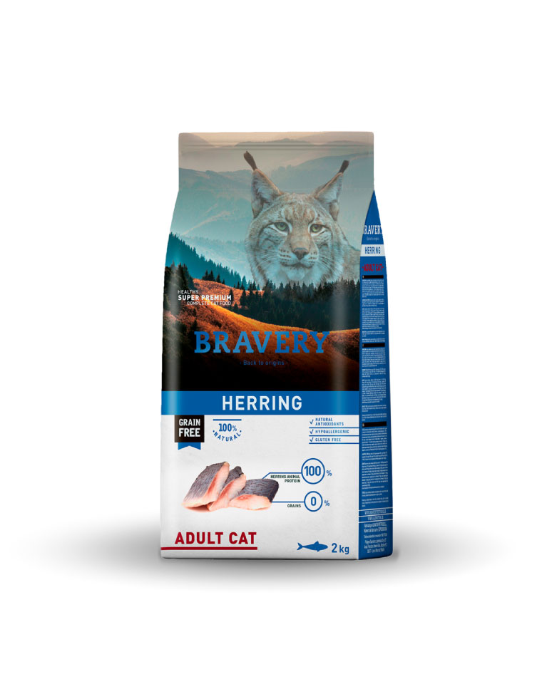 Bravery Gato Adulto Arenque