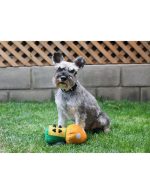 BRNX Juguete Perro Hongo - Imagen 2