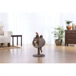 Prevue Hendryx Cozy Chicken