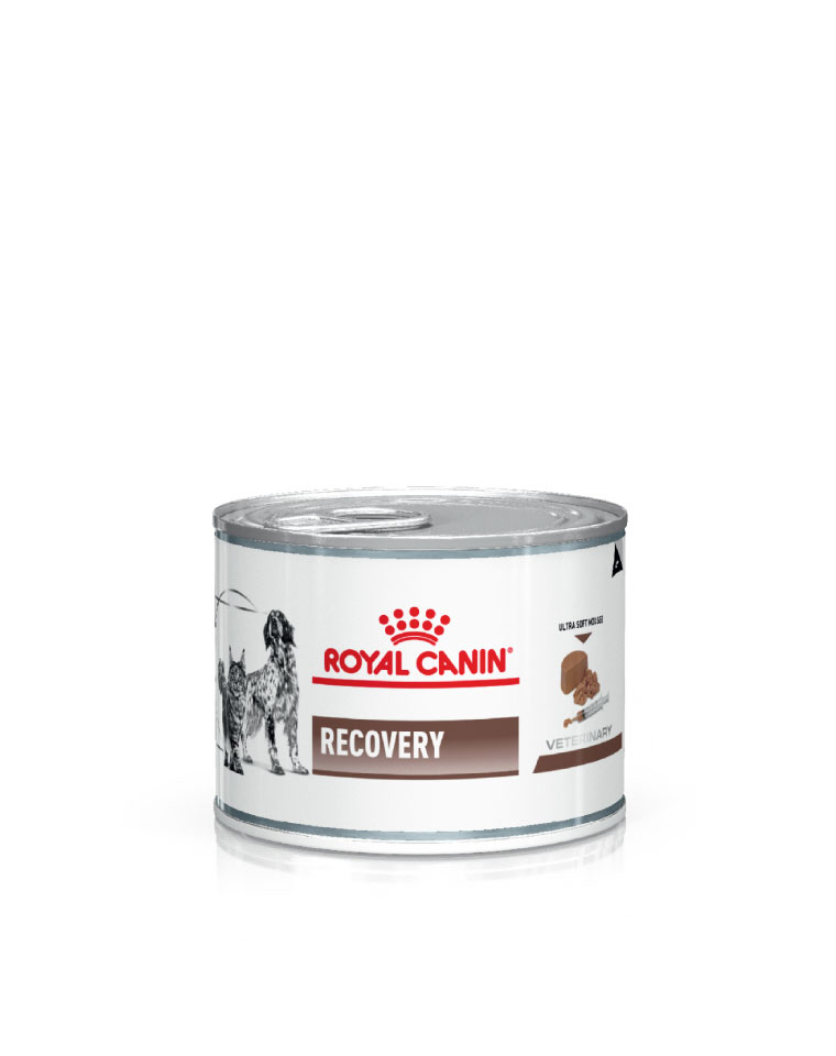 Royal Canin Lata Recovery Perro y Gato