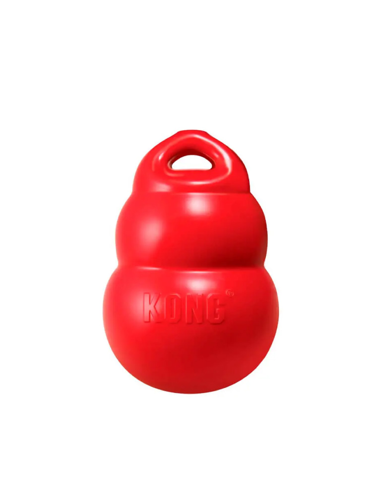 Kong Bounzer L