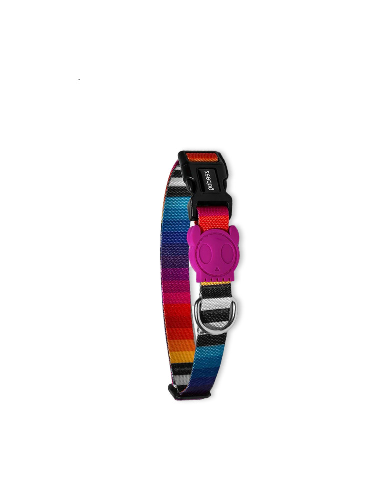 ZeeDog Collar Perro Prisma
