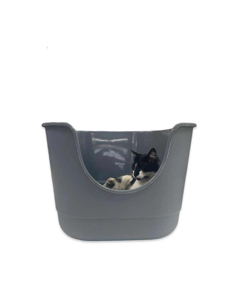 Arenero Abierto Color Gris