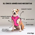 StreetDogs Arnés Comfort para Perros Negro