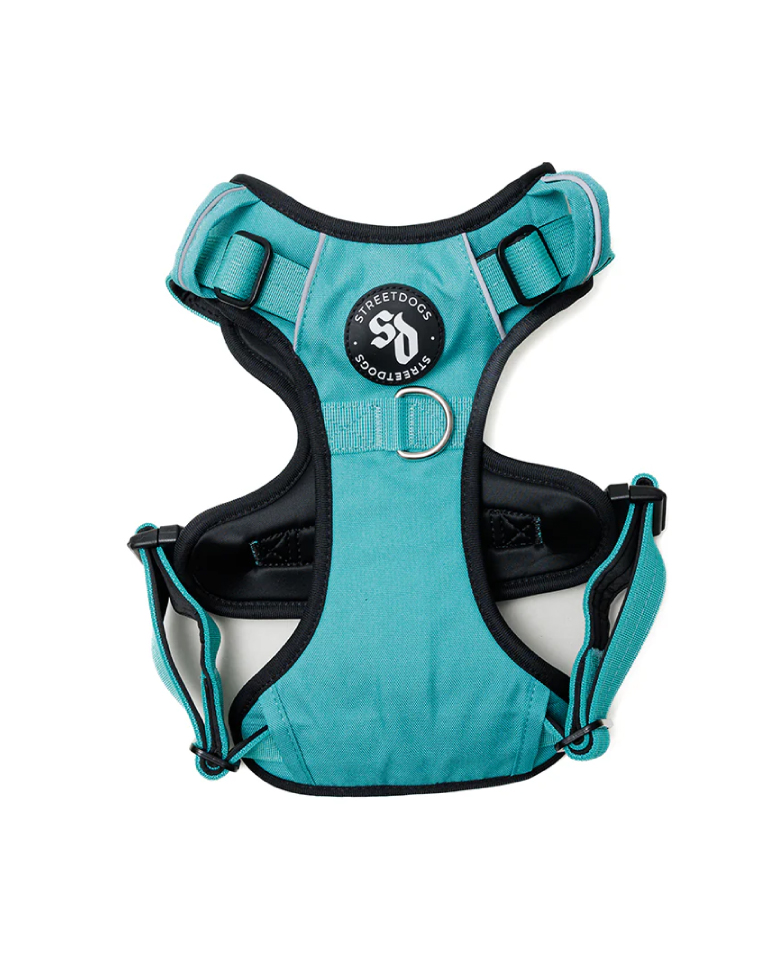 StreetDogs Arnés Comfort para Perros Turquesa