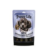 Box Navideña para Perros - Imagen 5