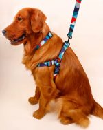 Arnés para Perros Tipo H Geométrico Talla L - Imagen 2