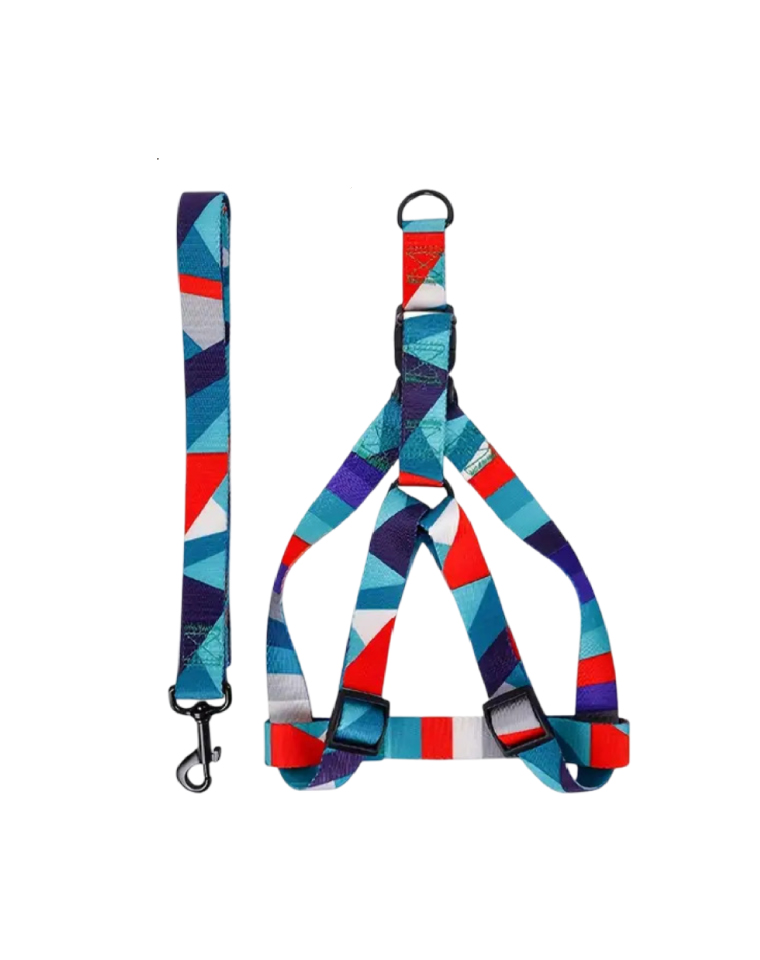 Arnés para Perros Tipo H Geométrico Talla L