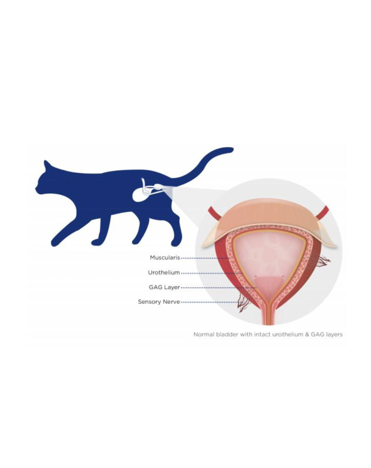 Furinaid Plus Gato 200mL