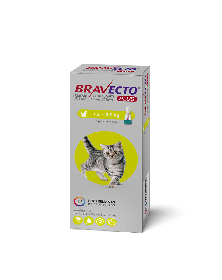 Bravecto Plus Gato 1,2kg a 2,8kg