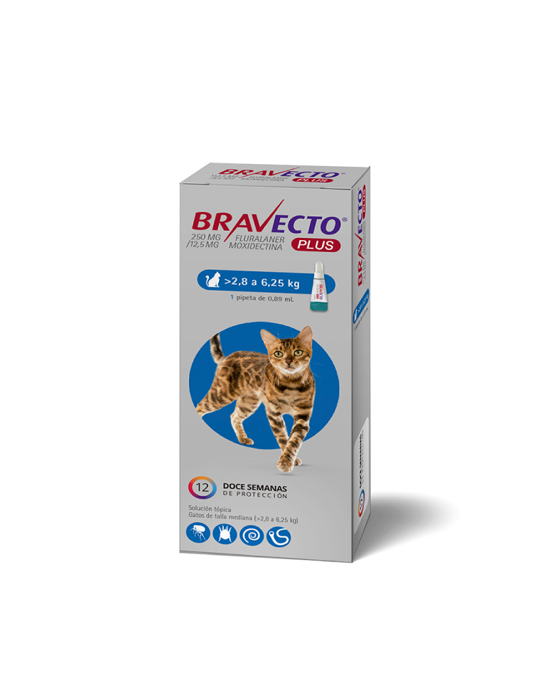 Bravecto Plus Gato 2,8kg a 6,25kg