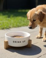 Plato Perro Cerámica con Base de Bambú 340mL - Imagen 2