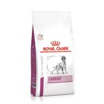 royal-canin-cardiaco
