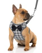 Arnés para Perro Cuadrille Rojo - Imagen 2