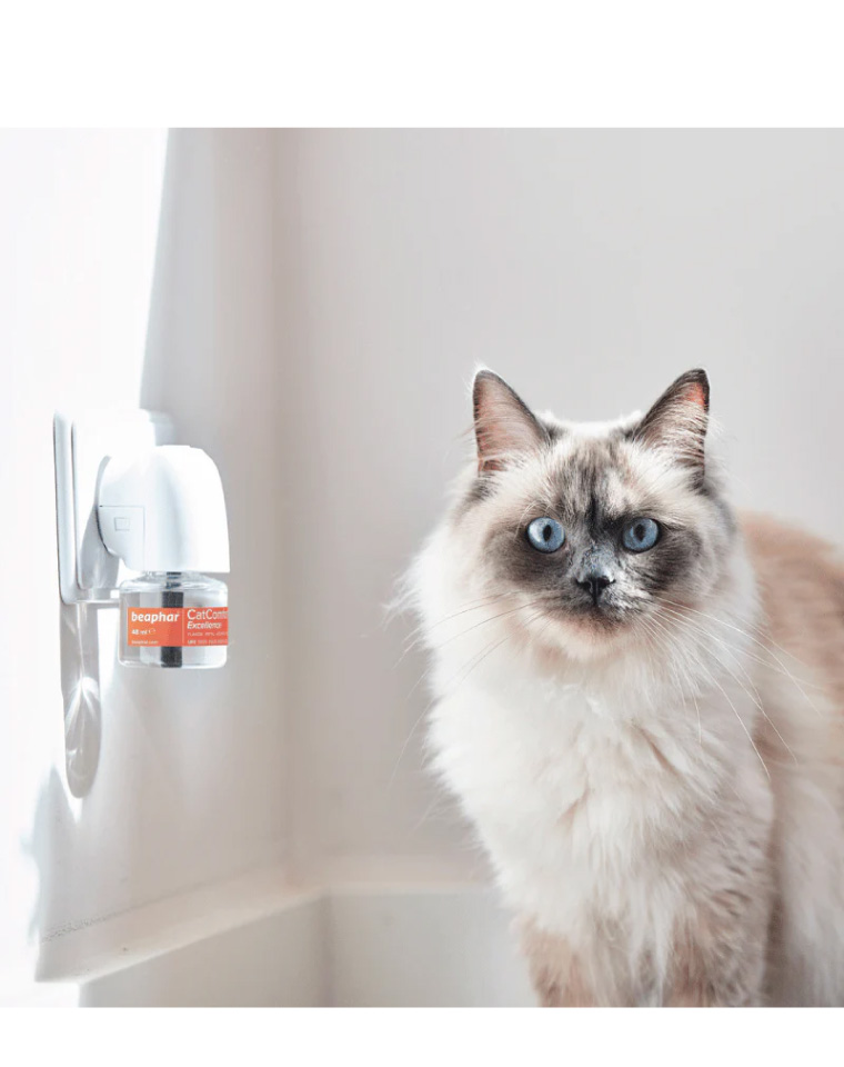 Beaphar CatComfort Difusor